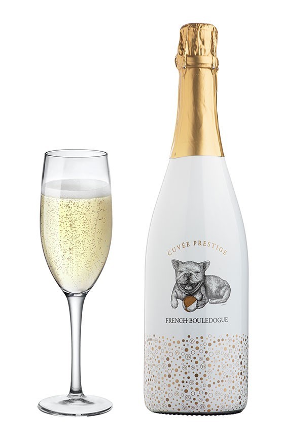 French Bouledogue Blanquette de Limoux