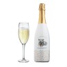 French Bouledogue Blanquette de Limoux