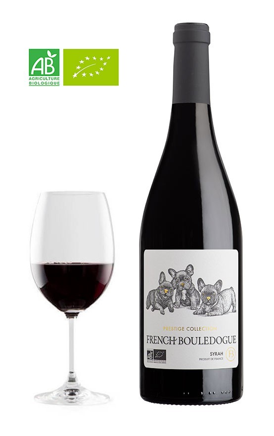 French Bouledogue Syrah