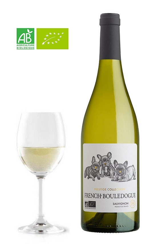 French Bouledogue Sauvignon Blanc