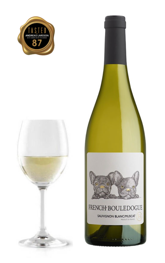 French Bouledogue Sauvignon blanc - Muscat